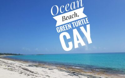 Discover the Stunning Beaches of Green Turtle Cay, Bahamas