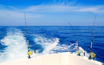 Fishing Charters and Boat Rentals Green Turtle Cay